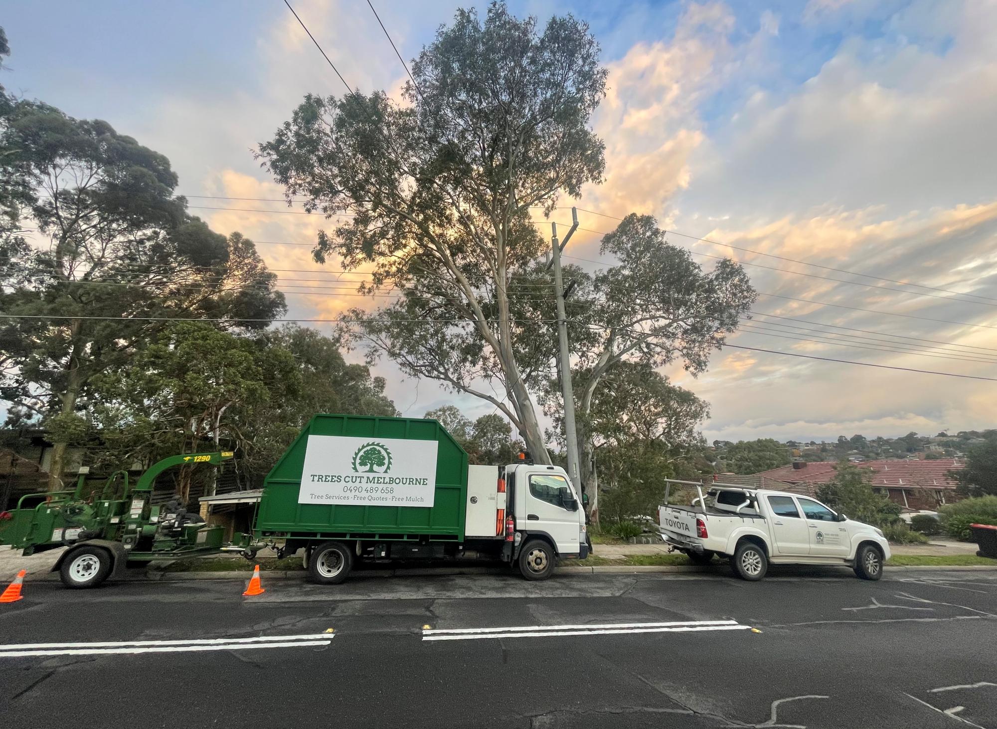 Trees Cut Melbourne truck, chipper and ute