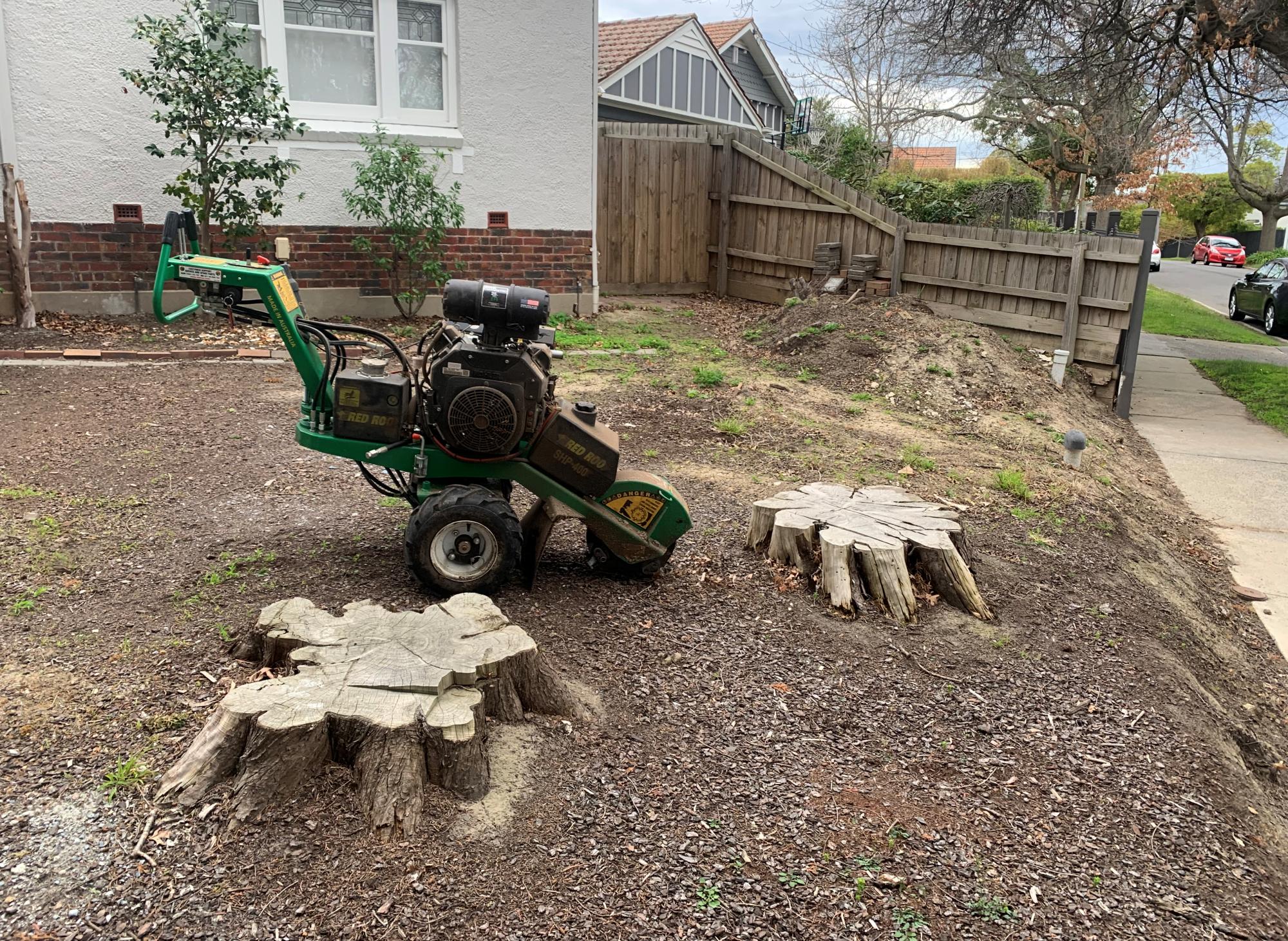 Tree stump in a garden ready for grinding